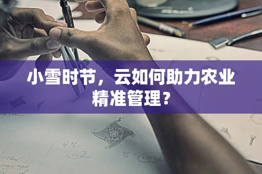 小雪时节，云如何助力农业精准管理？