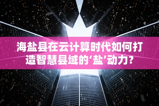 海盐县在云计算时代如何打造智慧县域的‘盐’动力？