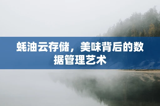蚝油云存储，美味背后的数据管理艺术