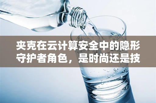 夹克在云计算安全中的隐形守护者角色，是时尚还是技术？