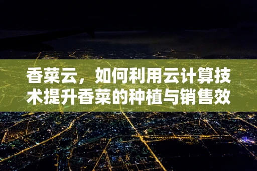 香菜云，如何利用云计算技术提升香菜的种植与销售效率？