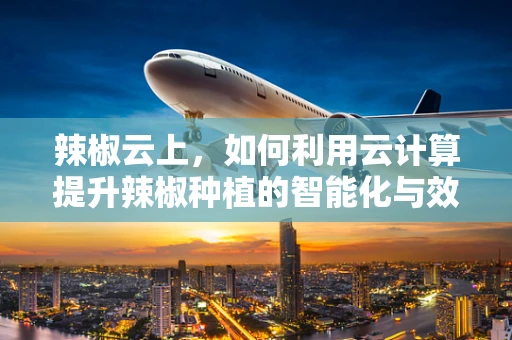 辣椒云上，如何利用云计算提升辣椒种植的智能化与效率？