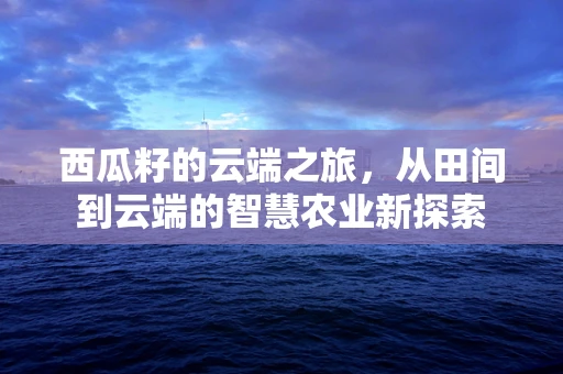 西瓜籽的云端之旅，从田间到云端的智慧农业新探索
