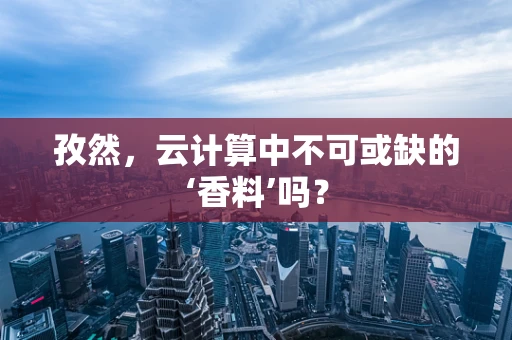 孜然，云计算中不可或缺的‘香料’吗？