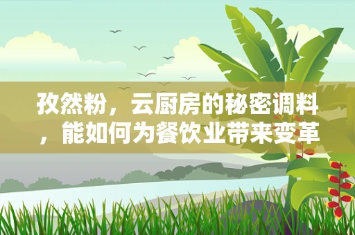孜然粉，云厨房的秘密调料，能如何为餐饮业带来变革？