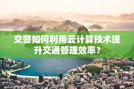 交警如何利用云计算技术提升交通管理效率？