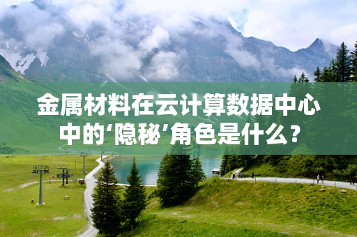 金属材料在云计算数据中心中的‘隐秘’角色是什么？