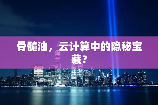 骨髓油，云计算中的隐秘宝藏？