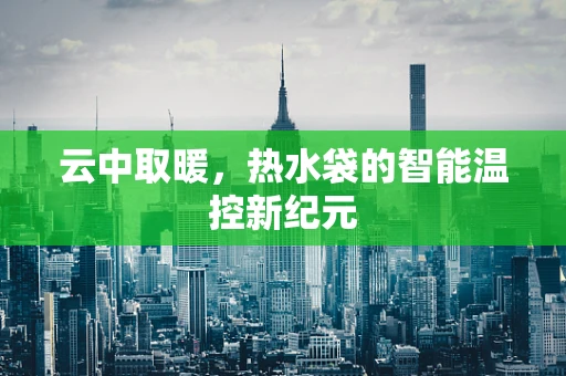 云中取暖，热水袋的智能温控新纪元