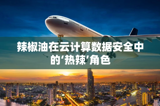 辣椒油在云计算数据安全中的‘热辣’角色