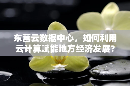 东营云数据中心，如何利用云计算赋能地方经济发展？