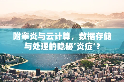附睾炎与云计算，数据存储与处理的隐秘‘炎症’？