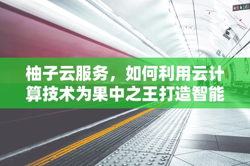 柚子云服务，如何利用云计算技术为果中之王打造智能供应链？