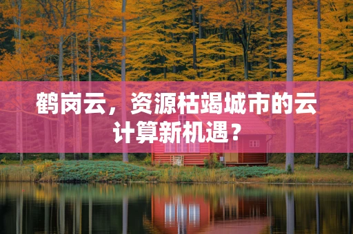 鹤岗云，资源枯竭城市的云计算新机遇？