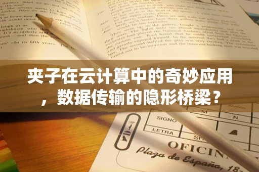 夹子在云计算中的奇妙应用，数据传输的隐形桥梁？