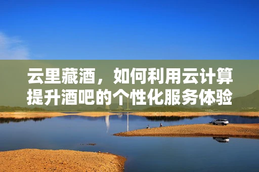 云里藏酒，如何利用云计算提升酒吧的个性化服务体验？
