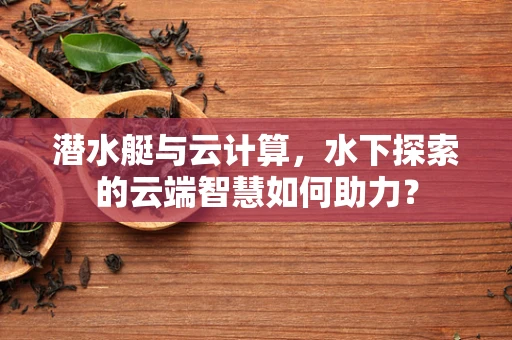 潜水艇与云计算，水下探索的云端智慧如何助力？