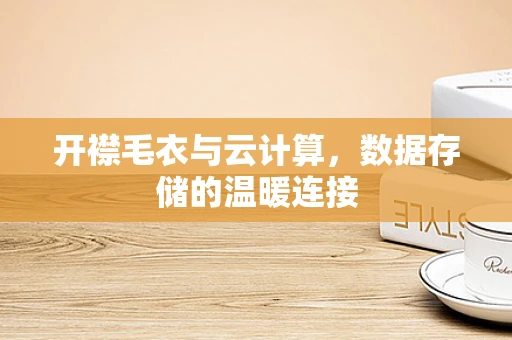 开襟毛衣与云计算，数据存储的温暖连接
