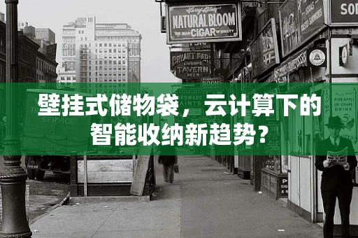 壁挂式储物袋，云计算下的智能收纳新趋势？