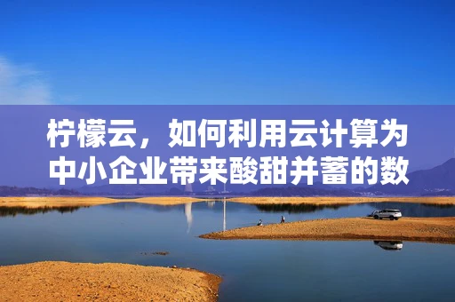 柠檬云，如何利用云计算为中小企业带来酸甜并蓄的数字化转型？