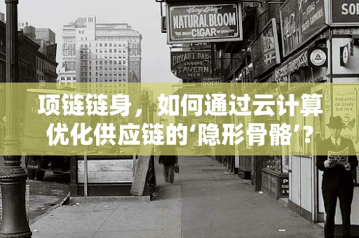 项链链身，如何通过云计算优化供应链的‘隐形骨骼’？