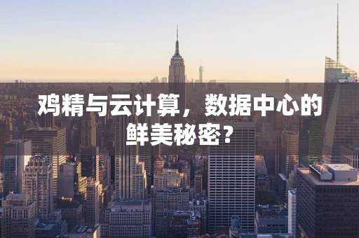 鸡精与云计算，数据中心的鲜美秘密？