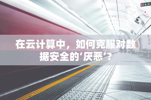 在云计算中，如何克服对数据安全的‘厌恶’？