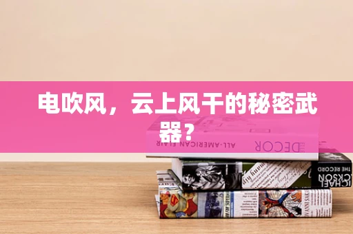 电吹风，云上风干的秘密武器？