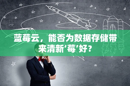 蓝莓云，能否为数据存储带来清新‘莓’好？
