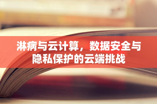 淋病与云计算，数据安全与隐私保护的云端挑战