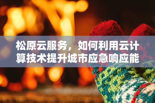 松原云服务，如何利用云计算技术提升城市应急响应能力？