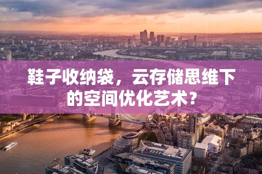 鞋子收纳袋，云存储思维下的空间优化艺术？