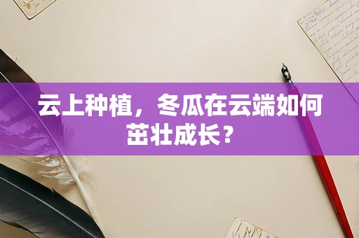 云上种植，冬瓜在云端如何茁壮成长？