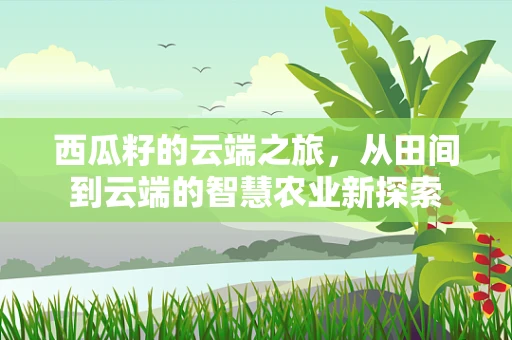 西瓜籽的云端之旅，从田间到云端的智慧农业新探索
