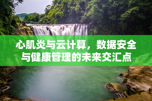 心肌炎与云计算，数据安全与健康管理的未来交汇点