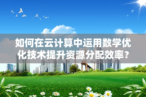 如何在云计算中运用数学优化技术提升资源分配效率？