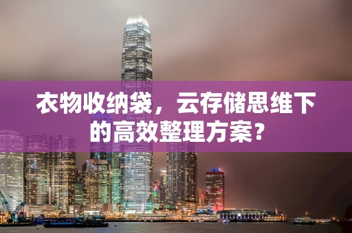 衣物收纳袋，云存储思维下的高效整理方案？