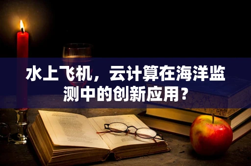 水上飞机，云计算在海洋监测中的创新应用？