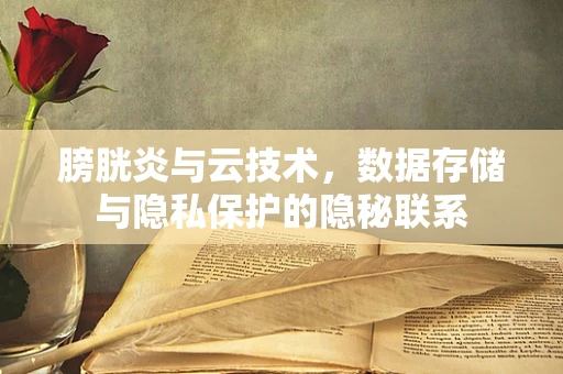 膀胱炎与云技术，数据存储与隐私保护的隐秘联系