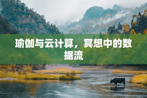 瑜伽与云计算，冥想中的数据流
