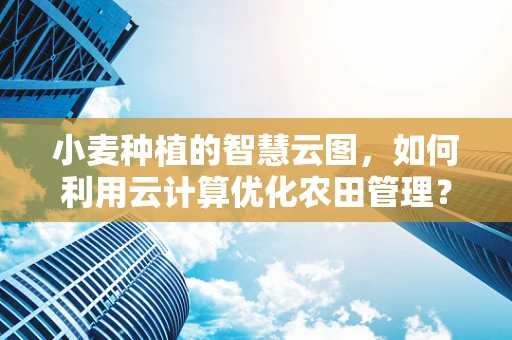 小麦种植的智慧云图，如何利用云计算优化农田管理？