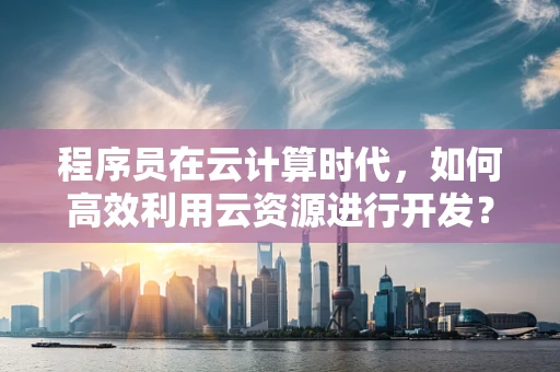 程序员在云计算时代，如何高效利用云资源进行开发？