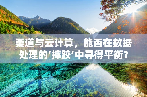 柔道与云计算，能否在数据处理的‘摔跤’中寻得平衡？