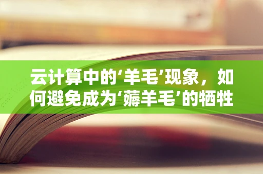 云计算中的‘羊毛’现象，如何避免成为‘薅羊毛’的牺牲品？