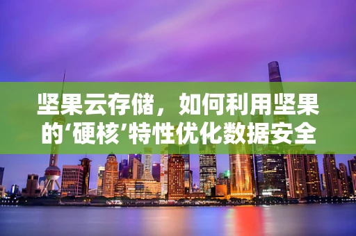 坚果云存储，如何利用坚果的‘硬核’特性优化数据安全与效率？