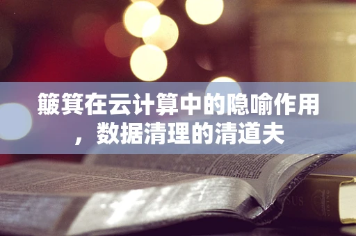 簸箕在云计算中的隐喻作用，数据清理的清道夫