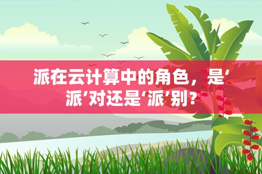 派在云计算中的角色，是‘派’对还是‘派’别？