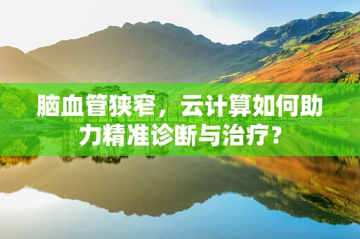 脑血管狭窄，云计算如何助力精准诊断与治疗？
