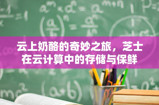 云上奶酪的奇妙之旅，芝士在云计算中的存储与保鲜