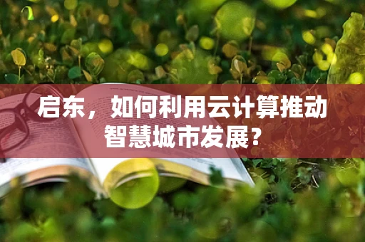 启东，如何利用云计算推动智慧城市发展？